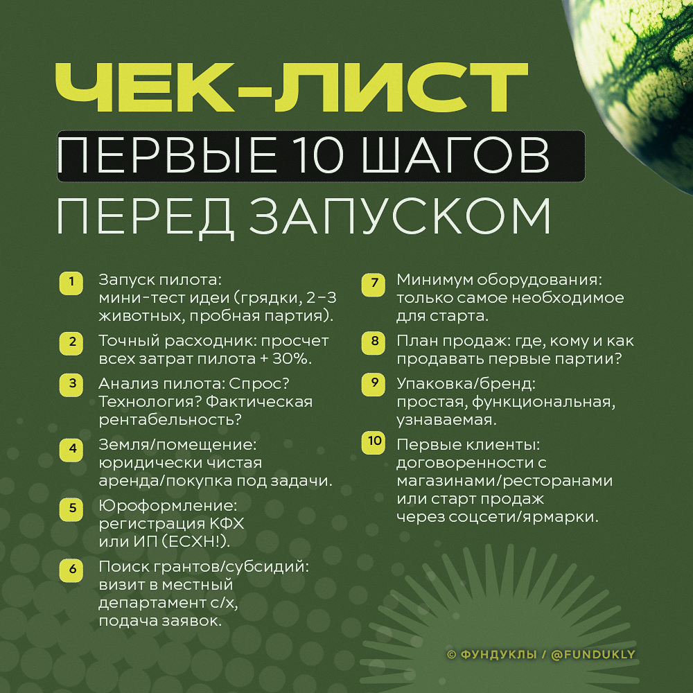 Чек-лист: первые 10 шагов перед запуском Чек-лист: первые 10 шагов перед запуском
