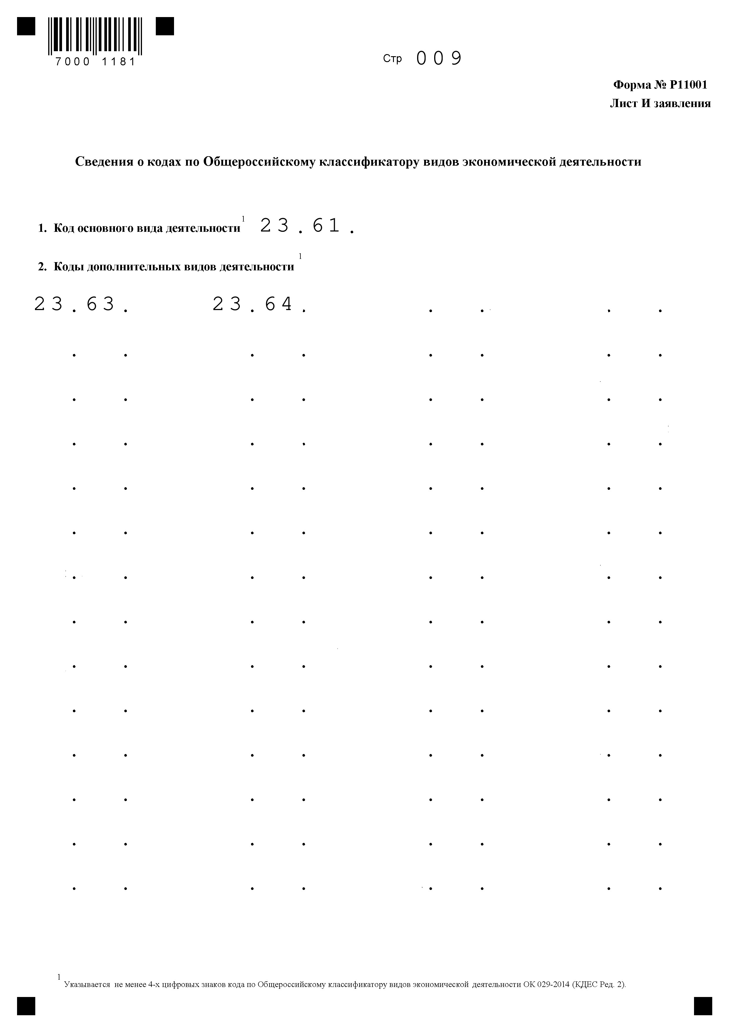 Образец заполнения формы 11001