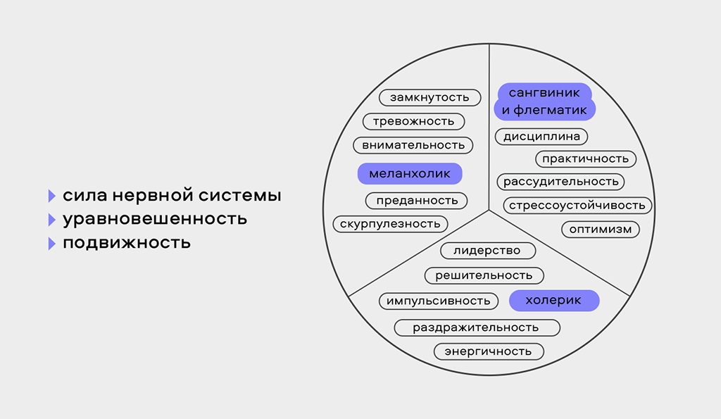 4 типа темперамента: потенциал каждого сотрудника