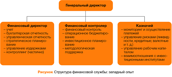 Главный бухгалтер подчиняется финансовому. Структура казначейства на предприятии. Финансовый директор структура. Функционал казначейства на предприятии. Структура отдела казначейства в организации.