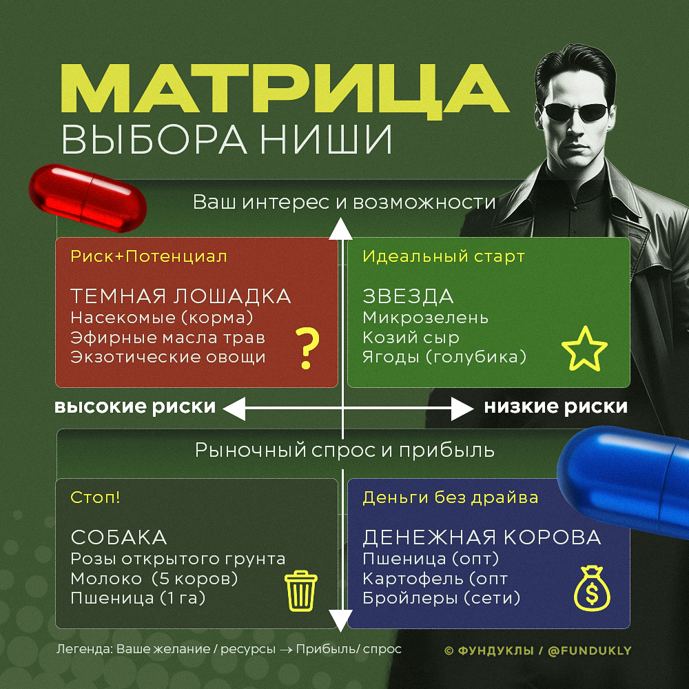 Матрица выбора ниши Матрица выбора ниши