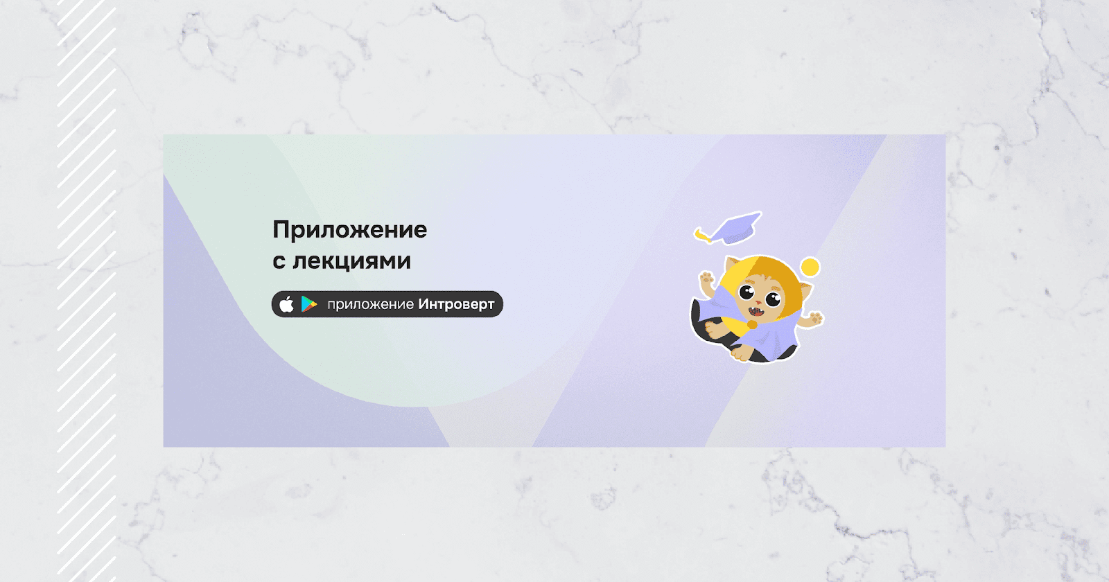 Проект «Правое полушарие интроверта» Проект «Правое полушарие интроверта»