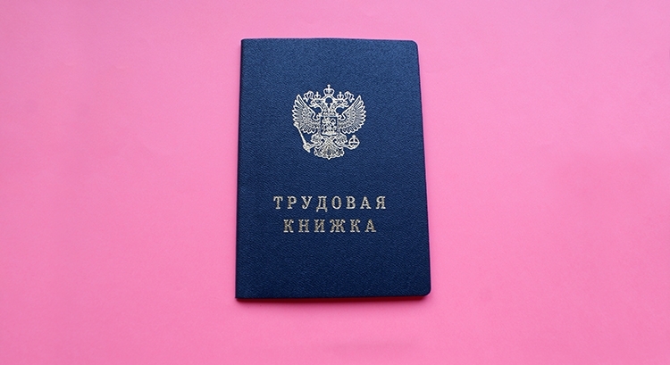 Встречаем Новый 2020 год с электронной трудовой книжкой