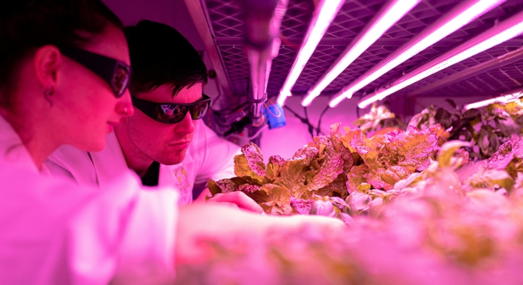 FoodTech 2024: 3D-печать мяса и роботы на кухне — чего еще ждать от новых технологий в пищевой промышленности