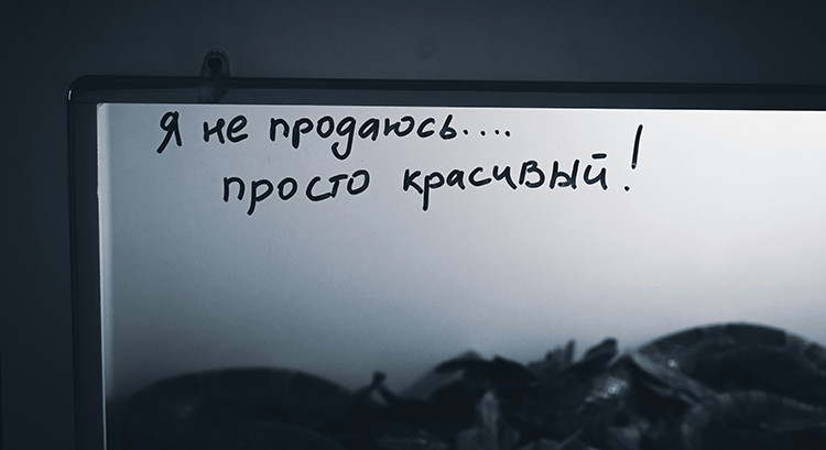 Безопасность и стабильность цифрового рубля: как Россия перестраивает денежную инфраструктуру